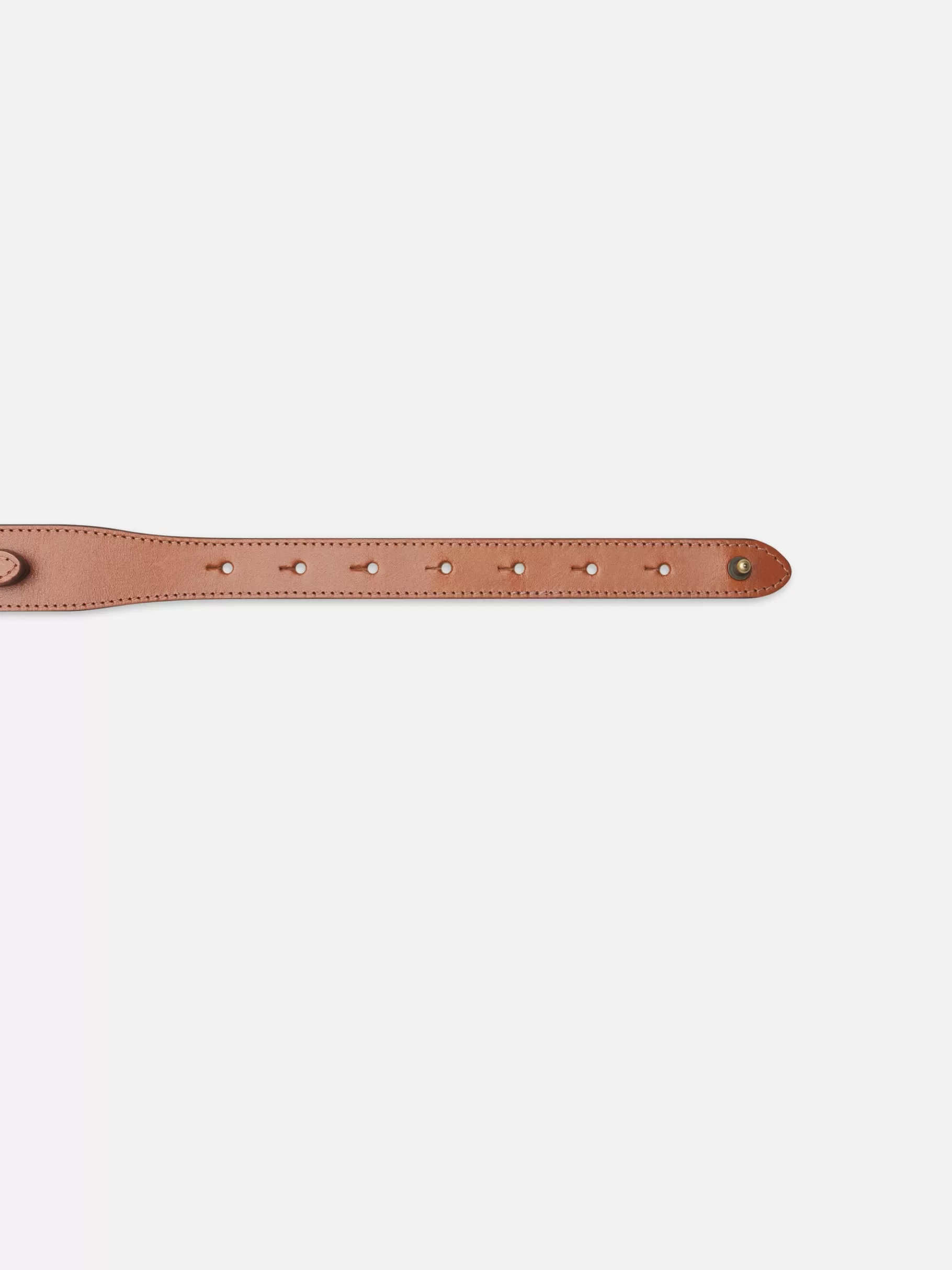 Belts | All Accessories & Shoes*FRAME Equestrian Belt in Cognac