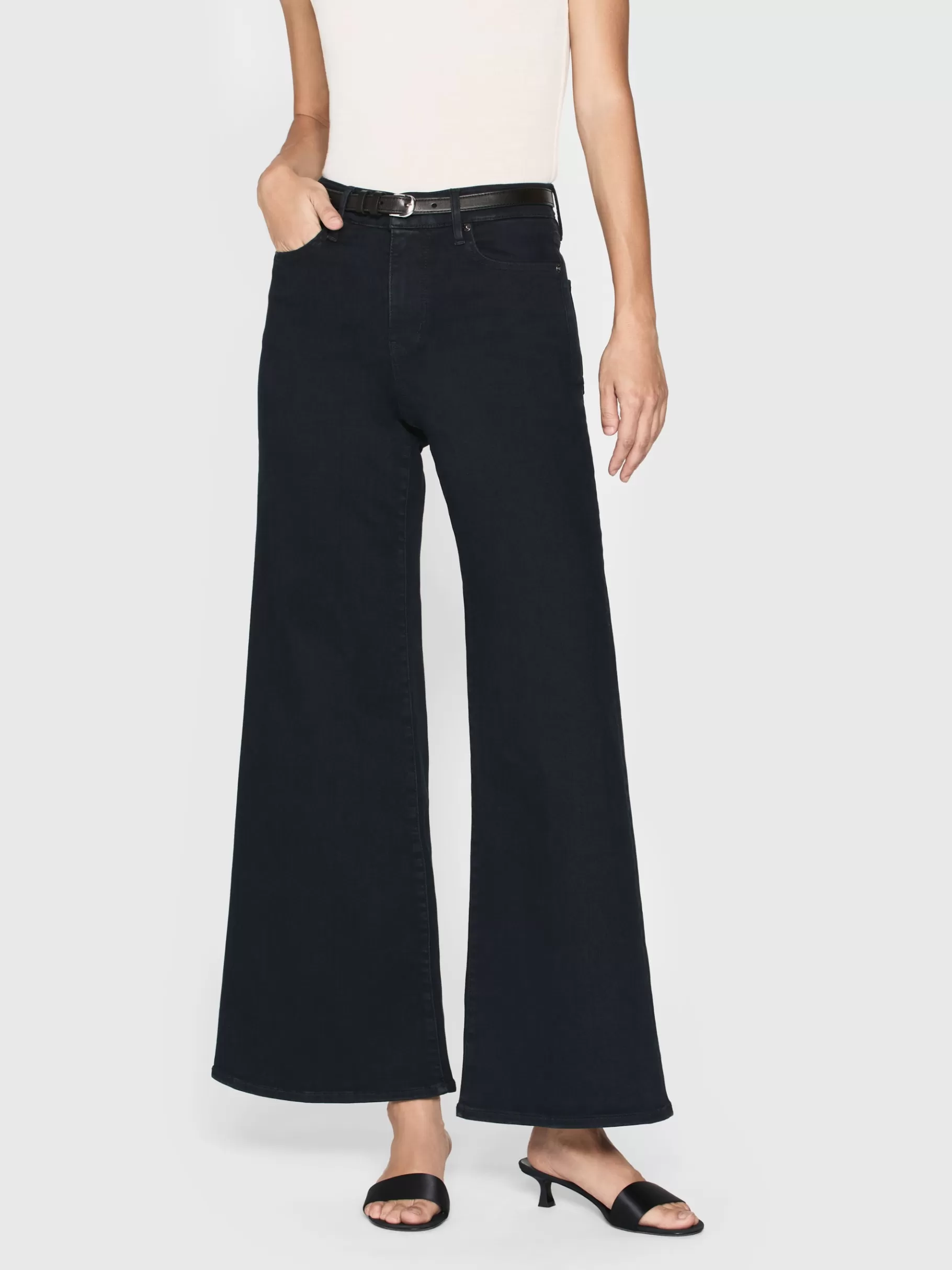 Wide Leg*FRAME Le Palazzo Crop in Slow Days Slowdays