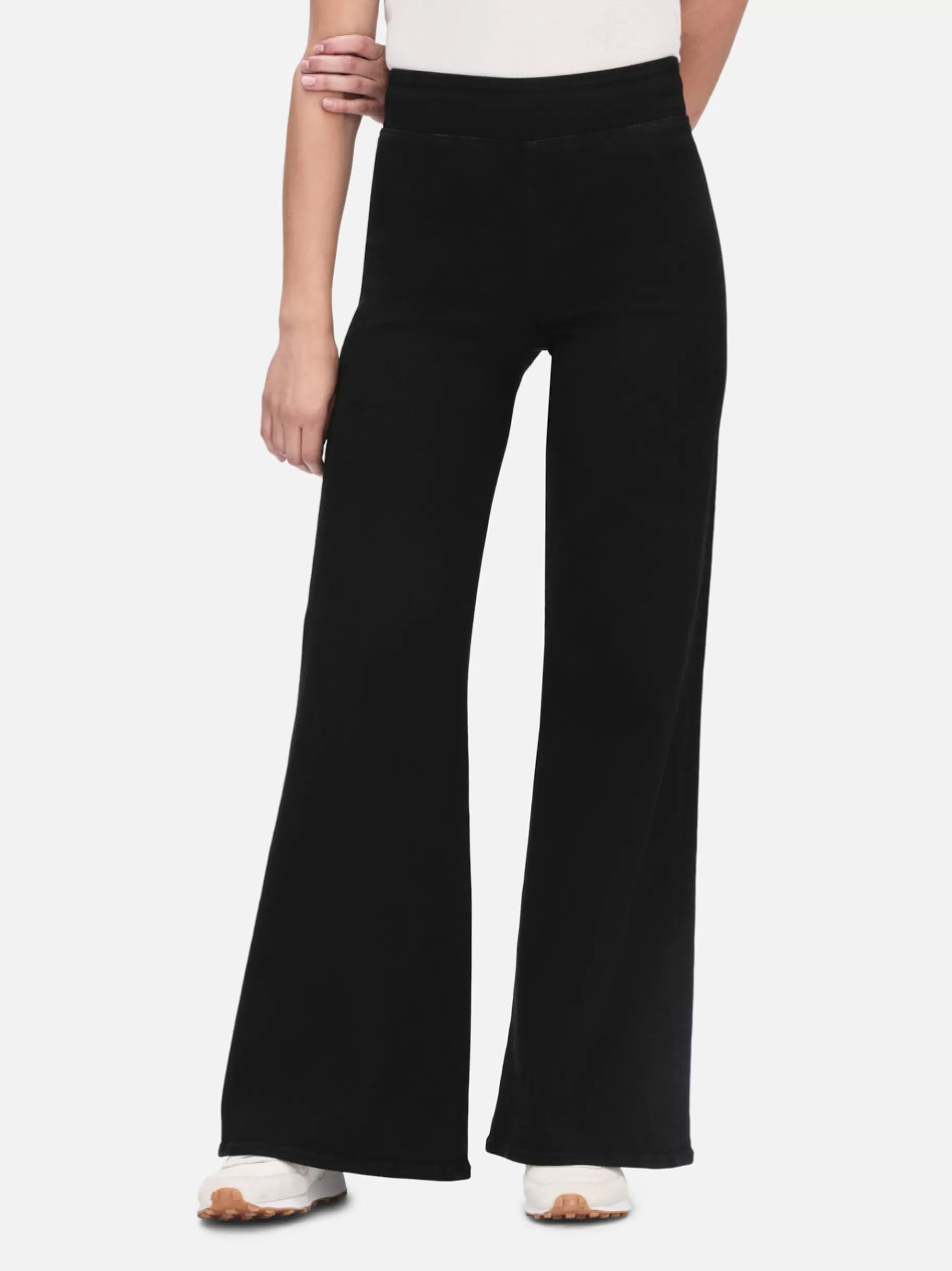 Wide Leg*FRAME The Jetset Wide Leg in Sheen Noir Sheennoir